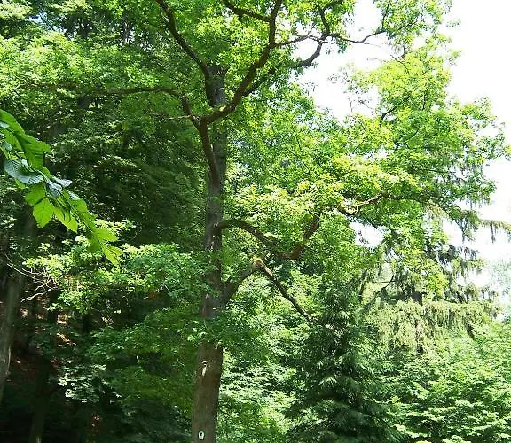 Im Stieg 4 Mit Kostenlosem Parkplatz